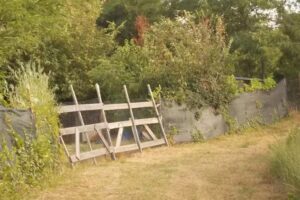 Biserica ”Adormirea Maicii Domnului”