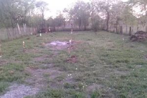 Biserica Apostolica Emanuel