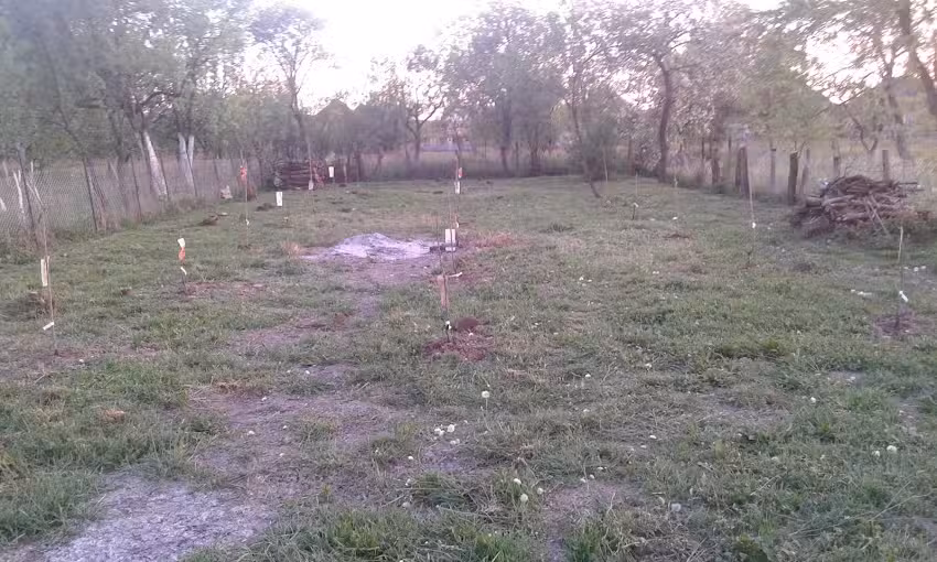 Biserica Apostolica Emanuel