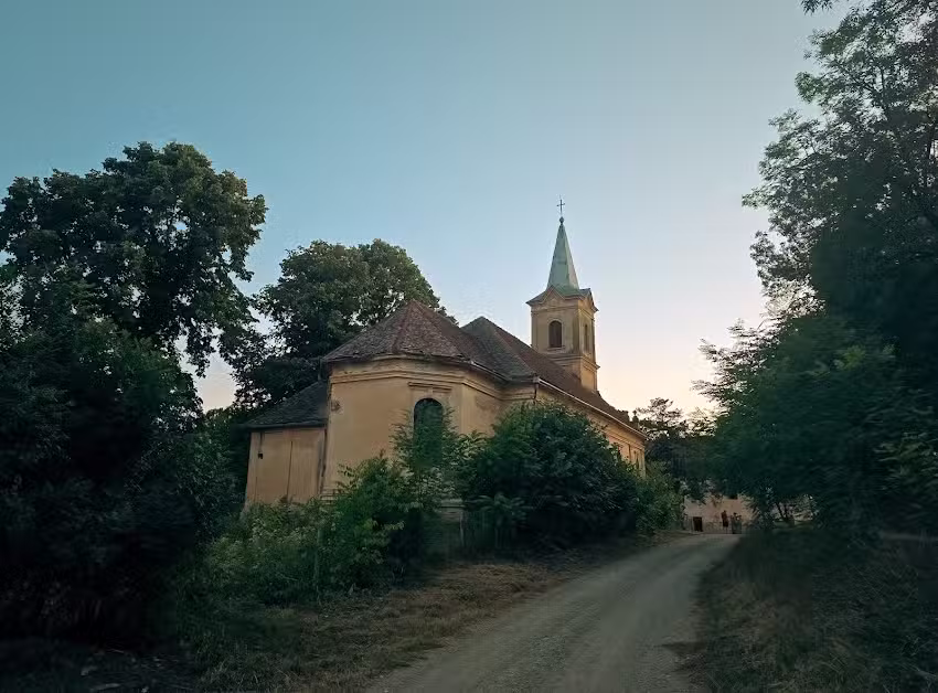 Biserica Catolică