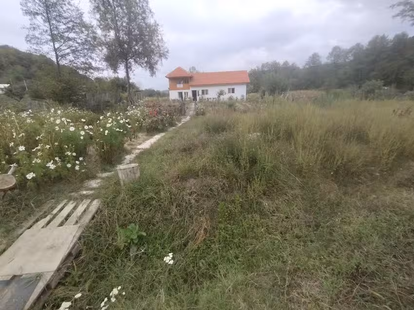 Biserica Creștină Evanghelica Noapteșa