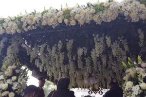 Biserica Cuvioasa Parascheva