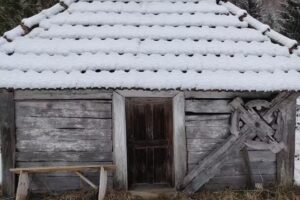 Biserica de lemn din Runcu Mare