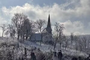 Biserica de lemn Domnin