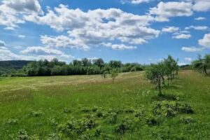 Biserica de lemn &bdquo;Sf&acirc;ntul Mare Mucenic Gheorghe&rdquo; din Baia