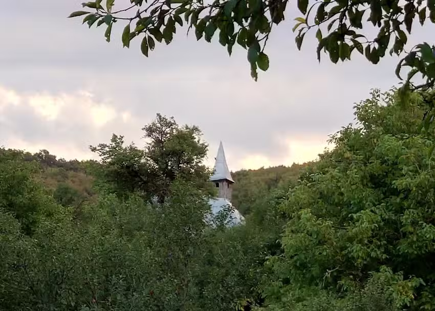 Biserica de lemn Sfinții Arhangheli