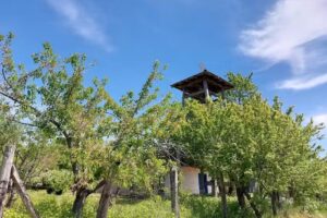 Biserica de paiantă din Izvoarele