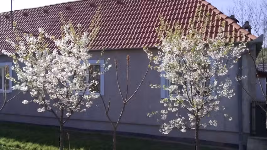 Biserica Evanghelică