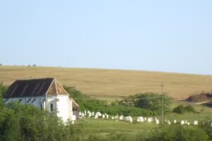 Biserica Evanghelică C.A.