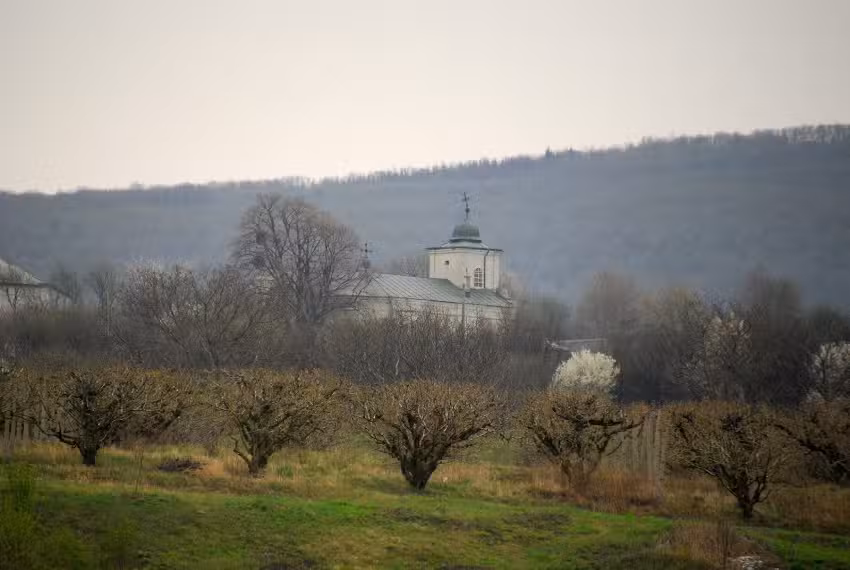 Biserica Nașterea Maicii Domnului