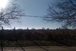 Biserica Naşterea Sfântului Ioan Botezătorul