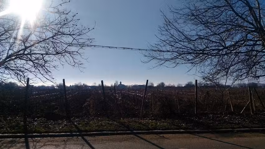 Biserica Naşterea Sf&acirc;ntului Ioan Botezătorul