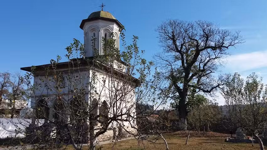 Biserica Nașterea Sf&acirc;ntului Ioan Botezătorul