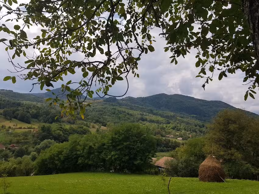 Biserica ortodoxă din Poșaga de Jos