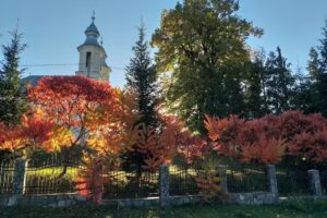 Biserica Ortodoxă Sf. Arhangheli Mihail si Gavril