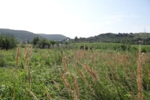 Biserica ortodoxă Sutoru