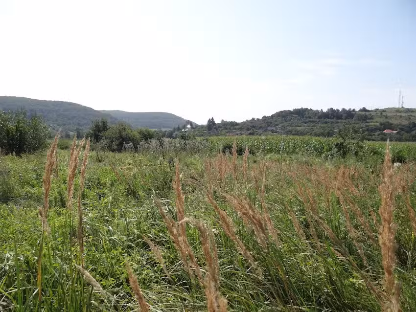 Biserica ortodoxă Sutoru