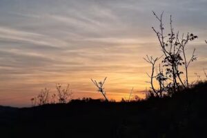 Biserica ortodoxă Țerova