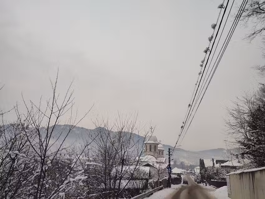 Biserica Ortodoxă Vișeu-Tipterai