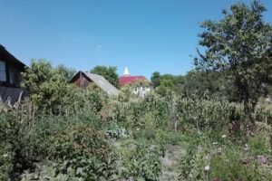 Biserica Penticostala Bozna