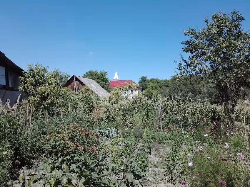 Biserica Penticostala Bozna