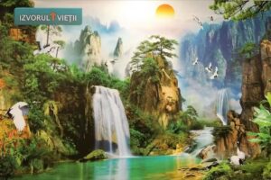 Biserica Penticostală Izvorul Vieții