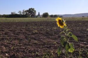 Biserica Pogor&acirc;rea Sf&acirc;ntului Duh