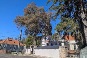 Biserica Reformată Biborțeni