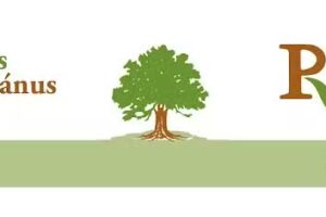 Biserica Reformată Prezbiteriană &ndash; Reform&aacute;tus Presbiteri&aacute;nus Gy&uuml;lekezet