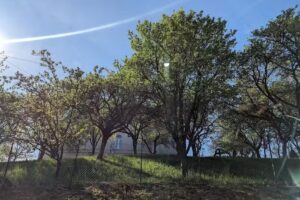 Biserica Romano &ndash; Catolică &bdquo;Preasf&acirc;nta Treime&rdquo;