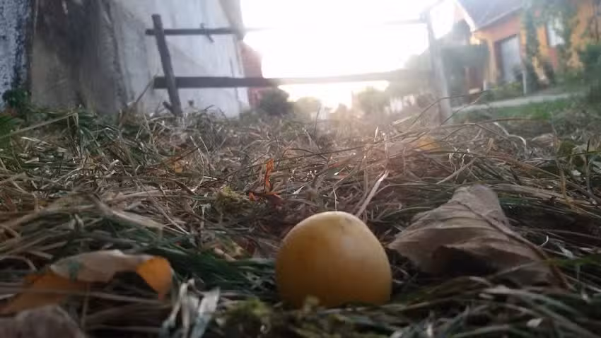 Biserica &rdquo;Sf. Arhangheli Mihail și Gavriil&rdquo;