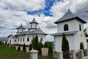 Biserica Sf. Cuv. Teodora de la Sihla, comuna Viișoara