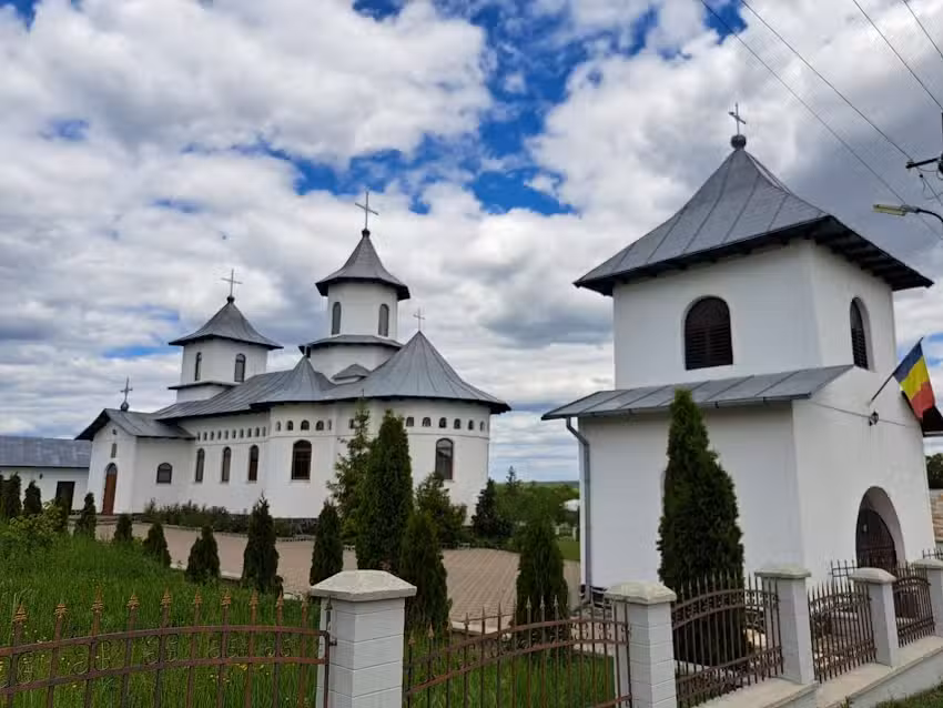 Biserica Sf. Cuv. Teodora de la Sihla, comuna Viișoara
