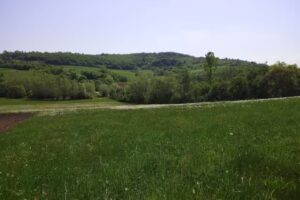 Biserica ”Sf. Ioan Botezătorul”