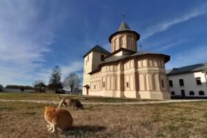 Biserica Sf&acirc;ntul Dimitrie