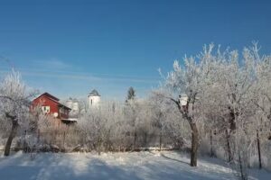 Biserica Sfântul Dumitru