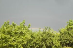 Biserica Sfântul Ierarh Nicolae