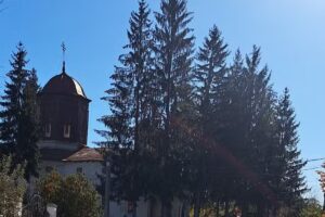 BISERICA SFANTUL IOAN BOTEZATORUL BOȚEȘTI