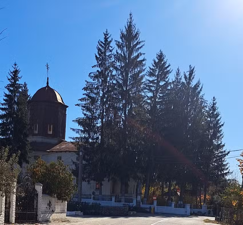 BISERICA SFANTUL IOAN BOTEZATORUL BOȚEȘTI