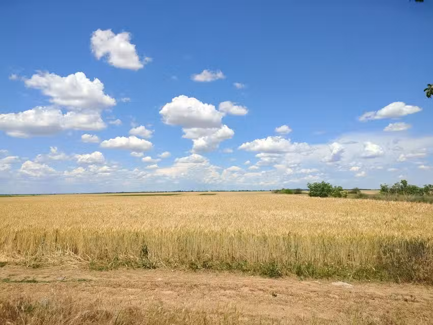 Biserica &bdquo;Sf&acirc;ntul Nicolae&rdquo;