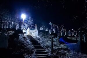 Biserica Sf&acirc;ntul Nicolae