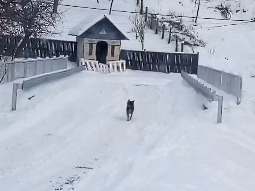 Biserica Sfantul NICOLAE