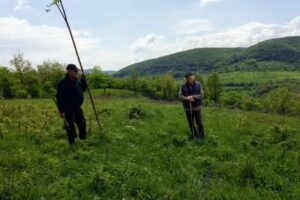 Biserica Sfântul Nicolae