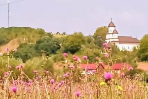 Biserica Sfinții Arhangheli Mihail și Gavril