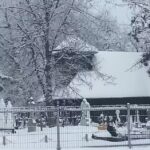 Biserica Sfinţii Arhangheli Mihail şi Gavril