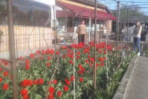 Biserica Sfinții &Icirc;mpărați Constantin și Elena