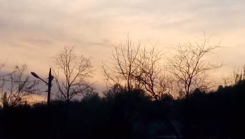 Biserica Sfinții Voievozi