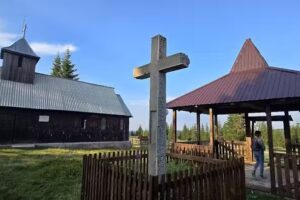 Biseruca Muntele Rece