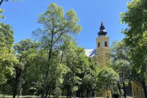 Catedrala Romano-Catolică