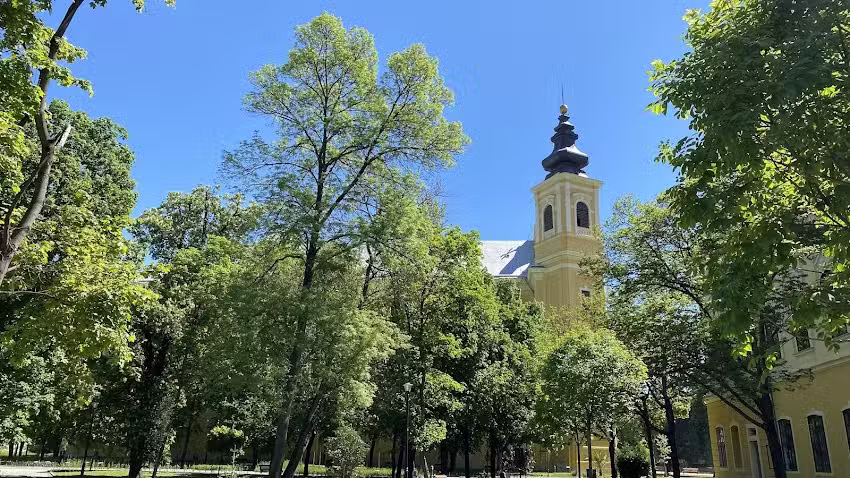 Catedrala Romano-Catolică
